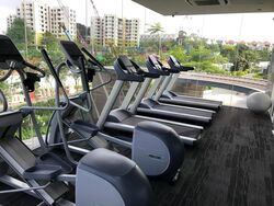 Belgravia Villas (D28), Terrace #480394181